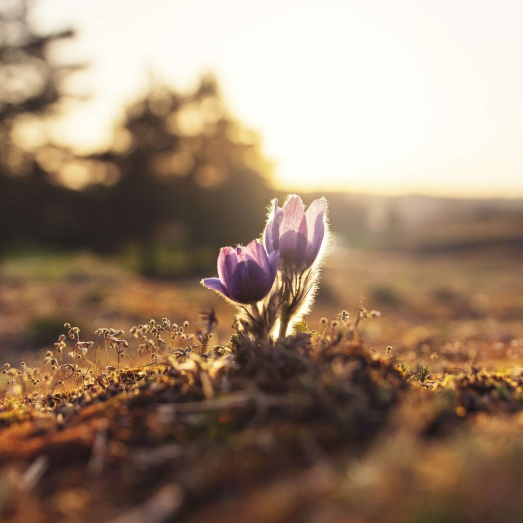 Ales Me UXvUpHY5o 4 Unsplash Scaled E1606571993900 1024x1024